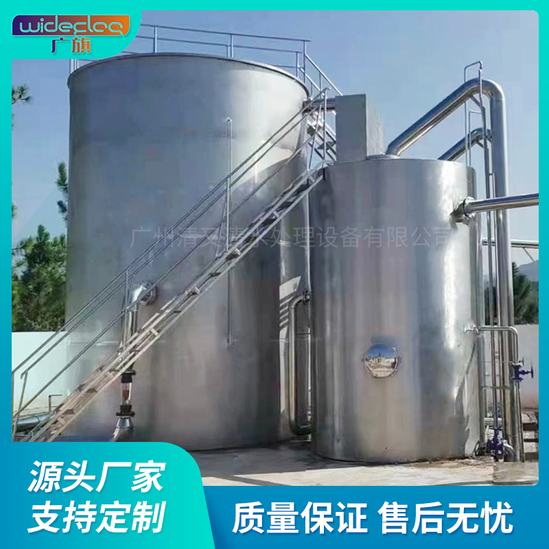 农村安全饮水江河水净化不锈钢净水器 全自动水厂净水设备